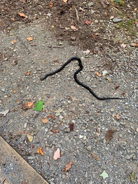 This image has an empty alt attribute; its file name is blog2-1.jpg