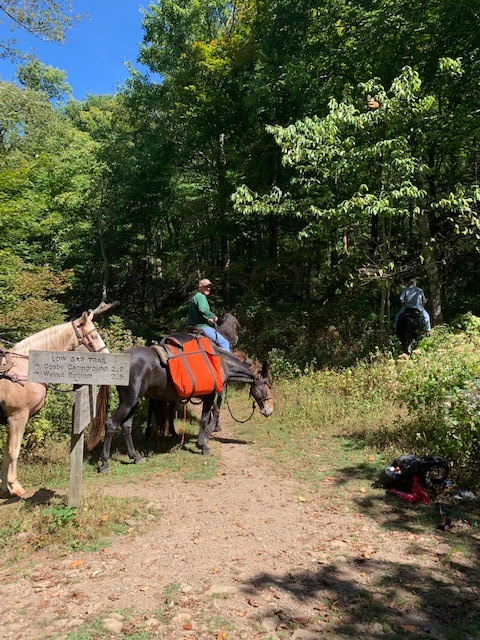 This image has an empty alt attribute; its file name is low-gap3-1.jpg