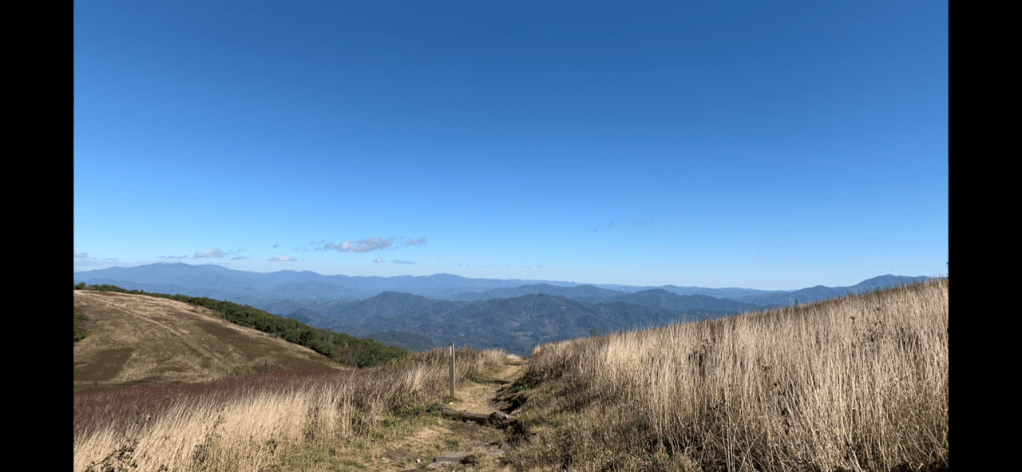 This image has an empty alt attribute; its file name is 6.png